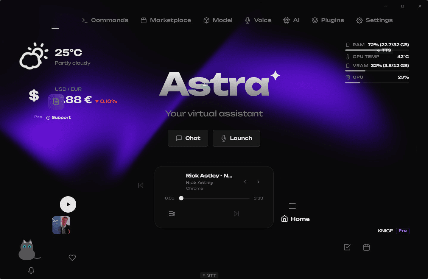 Companion Cat гуляет по интерфейсу Astra
